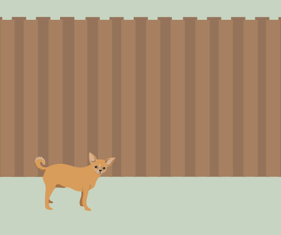 Why do some dogs bark a lot?