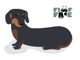 Dachschund