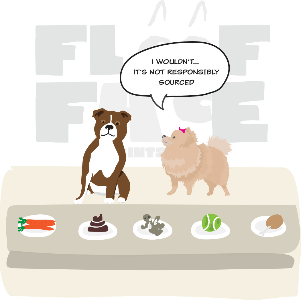 Why do dogs eat that???